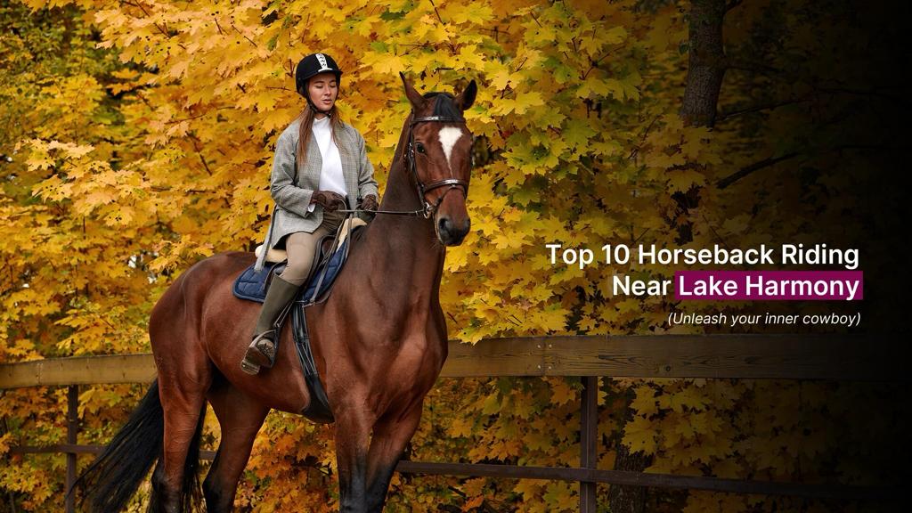 Top 10 Horseback Riding Near Lake Harmony