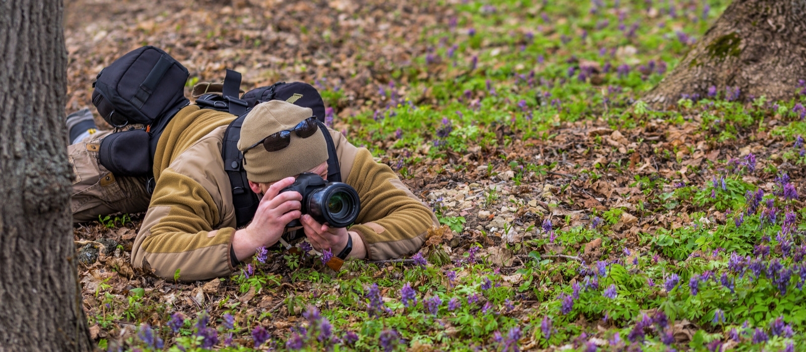 Wildlife and Nature Photography Spots in the Poconos