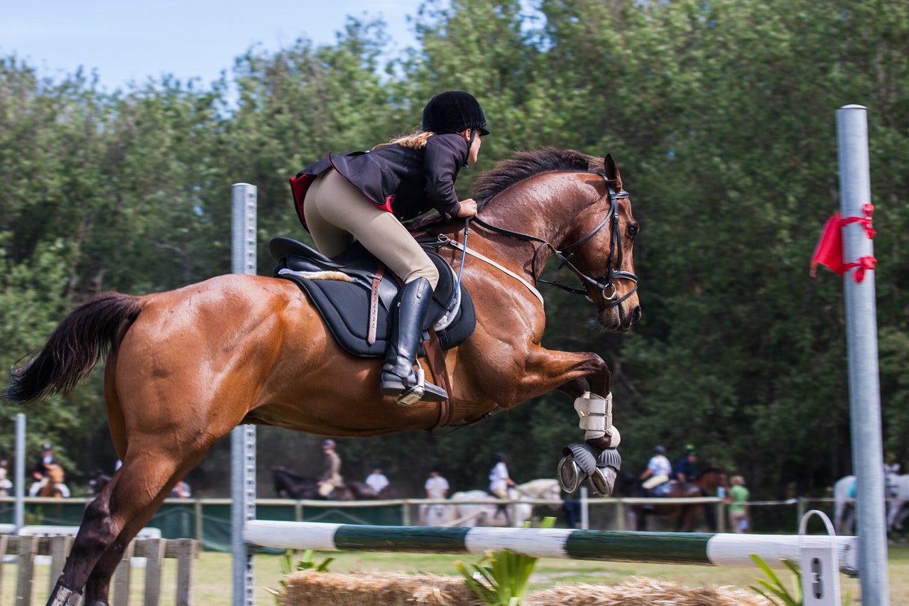 Horseback Riding Spots in the Poconos