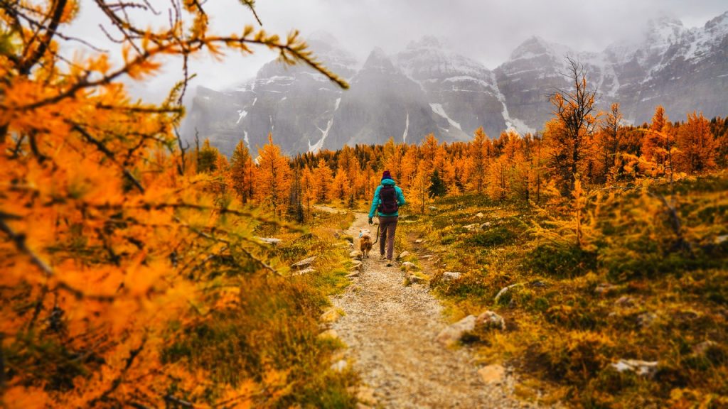 Hiking-fall-trails-poconos