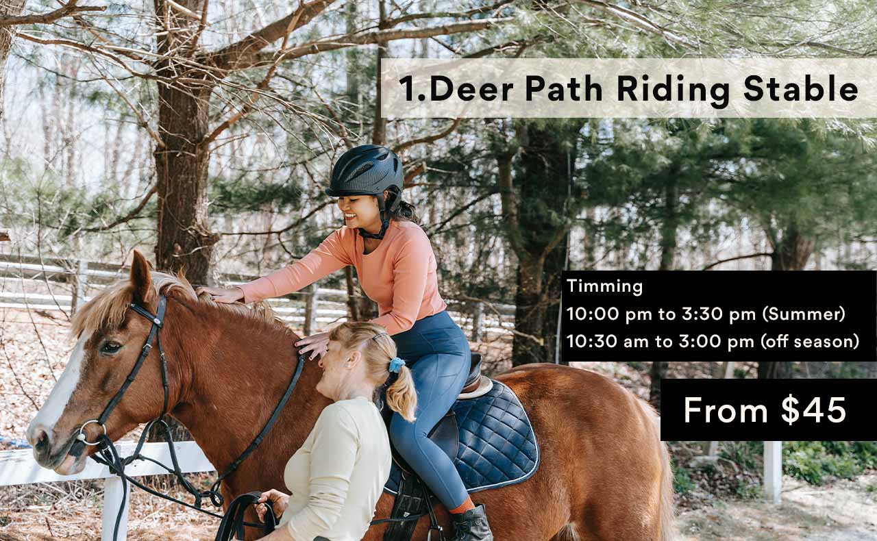 Top 10 Horseback Riding Near Lake Harmony HolidayKeepers