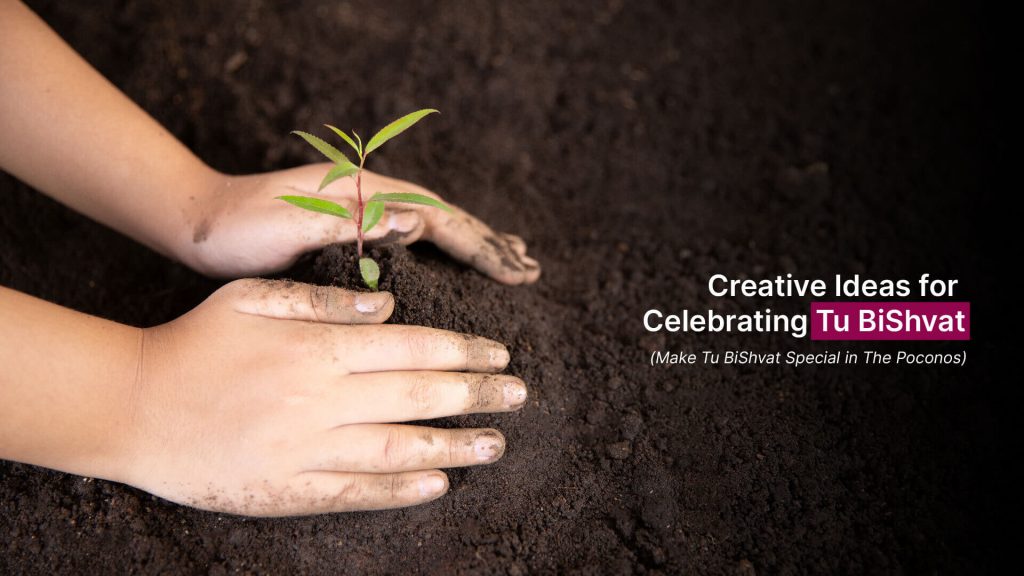 Creative Ideas for Celebrating Tu BiShvat