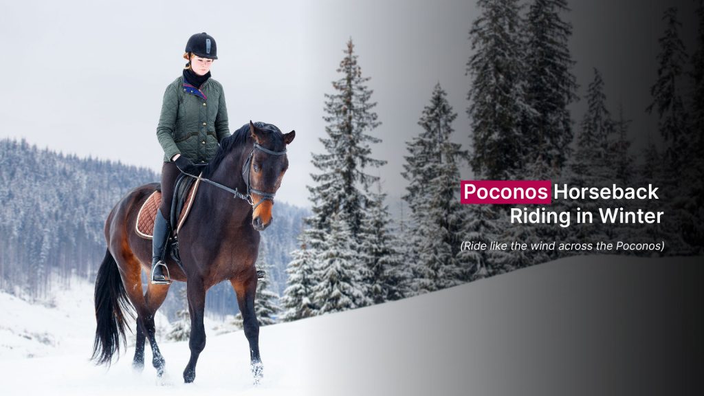 Poconos Horseback Riding in Winter