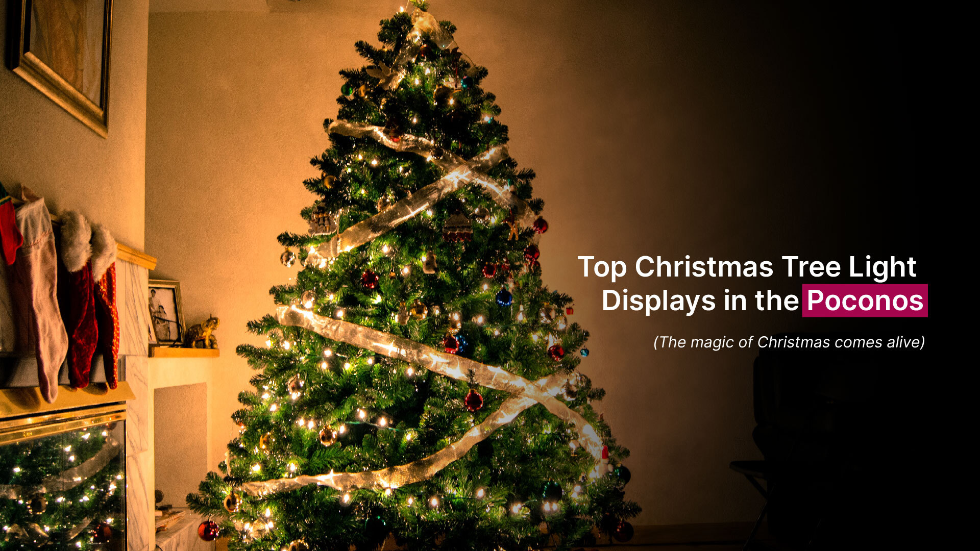 Top Christmas Tree Light Displays in the Poconos