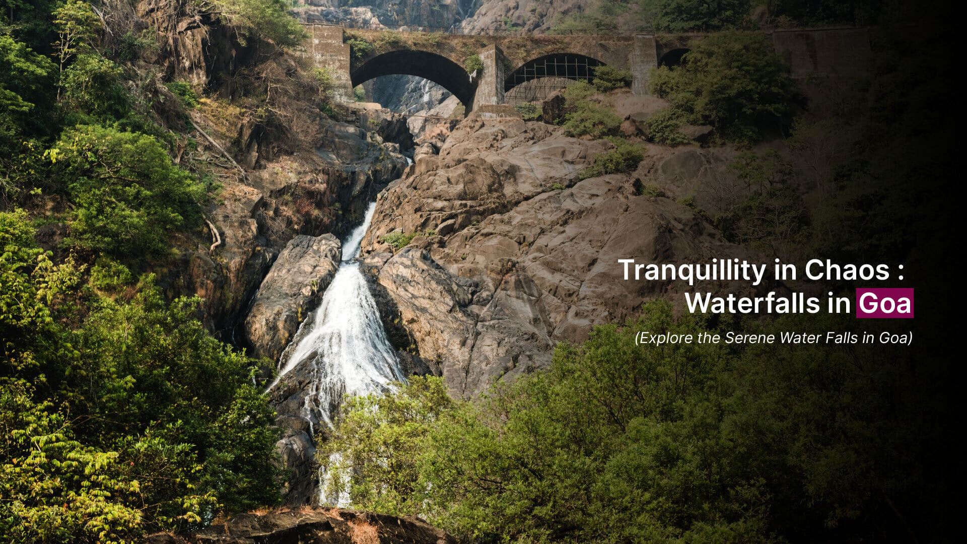 Tranquillity in Chaos: Waterfalls in Goa